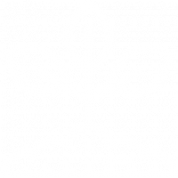plante.png